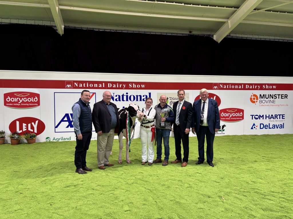 (L-R). Laurence Feeny; Eamonn Coleman; Rachel Corley; Brian Corley; Cord Hormann; John Kirby.