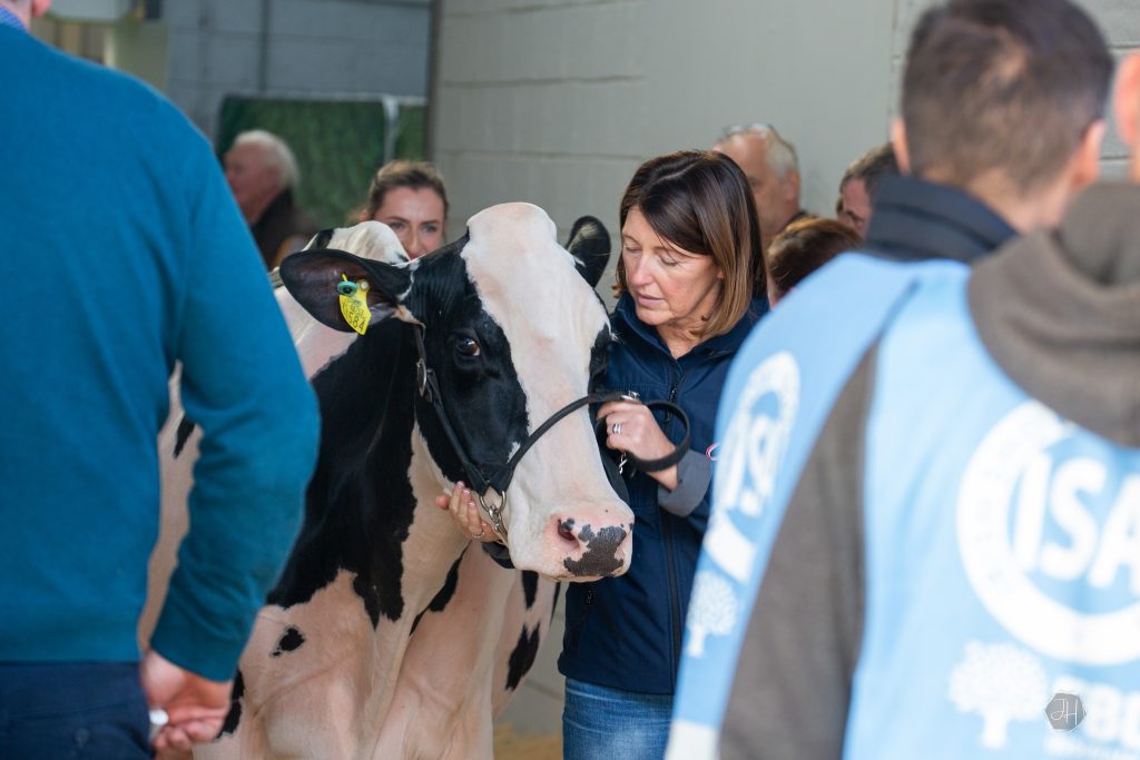 Hallow Octain Twizzle ET EX93 and Linda Jones. Source: IHFA