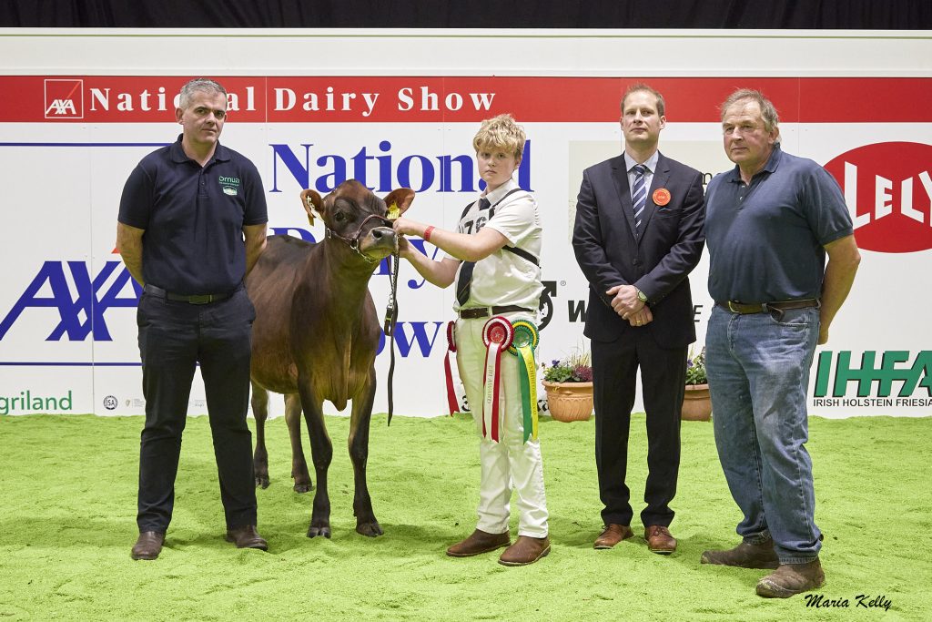 10/10/25 AXA National Dairy Show 2025, Class. 4J Jersey Heifer born before 31st December ‘24 Not in milk - Pictured are: Declan Kelliher, Ornua (sponsor), 1st place Ballyelan Victor Daisy 4361 exhibited by Tom Lynch, Ballingarry, Co. Limerick, Cathal McLoughney (handler), Cord Hormann, Judge, Tom Lynch (exhibitor), Photo: Maria Kelly