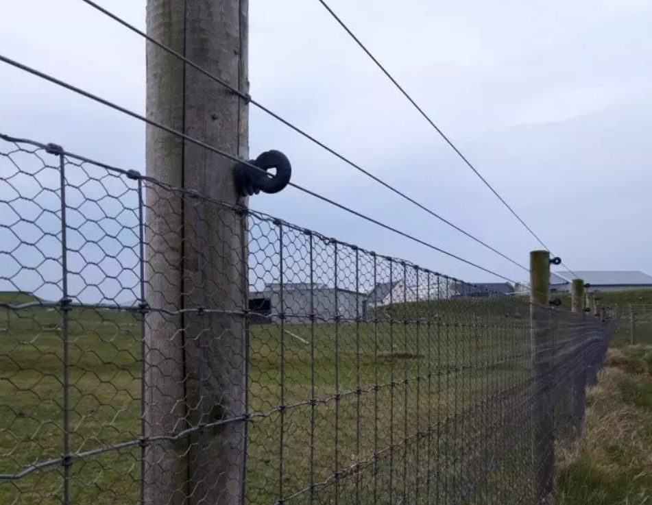 Predator fence at Rinmore, Co Donegal. Image source: Birdwatch Ireland