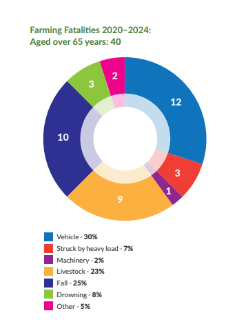 Source: HSA Farm Safety Action Plan 2025-2027