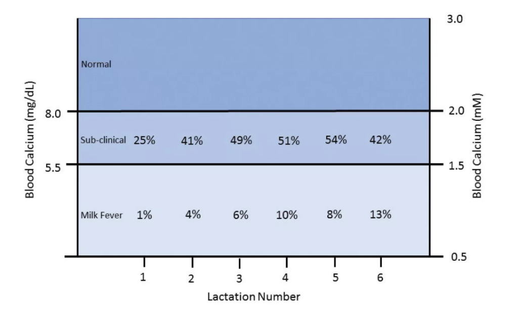 &nbsp;Clinical and sub-clinical milk fever levels in cows by lactation. Source: Veterinary Ireland Journal