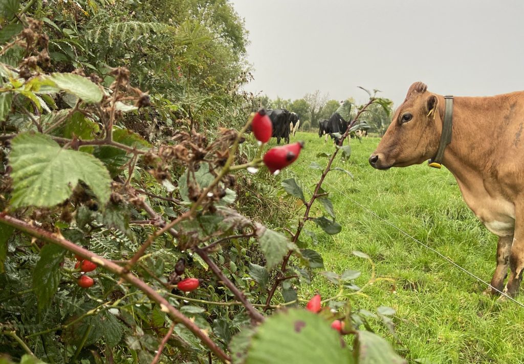 Michael O'Brien was the winner in the under-18s category in 2024.