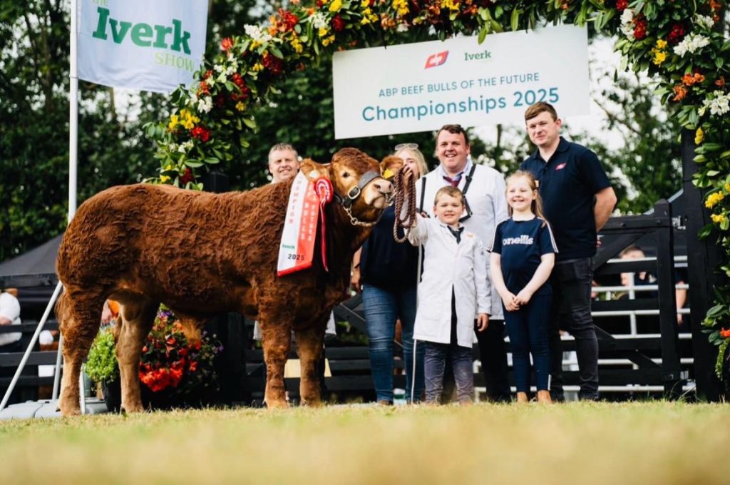 Vantheman won the ABP Limousin Bull of the Future title at Iverck Show this summer
