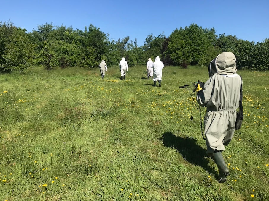 Sharon Phelan on her way to record the local bees.