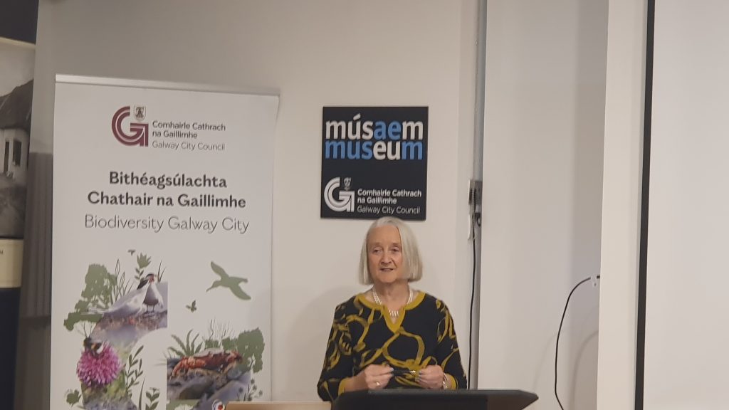 Chair of the Heritage Council, Dr. Martina Moloney