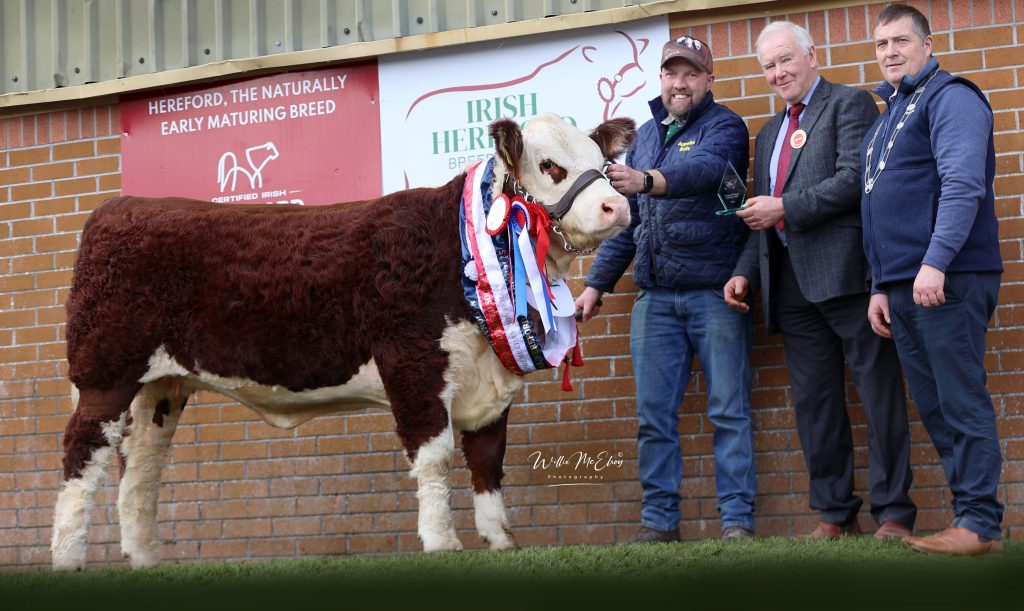 Supreme Female Champion & Senior Female Champion, Appel Firecracker PP with breeder John Appelbe, judge Basil Bothwell and IHBS President Nigel Heatrick. Source: William McElroy
