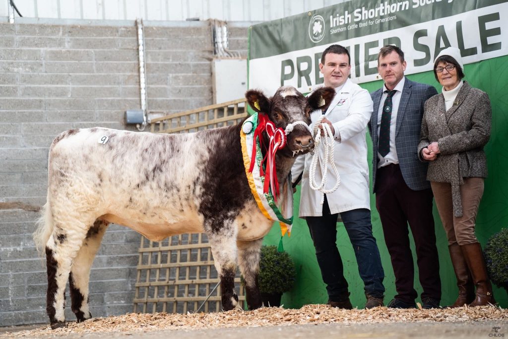 Champion Female Glannview Zenith 42 sold for €5,000. Owned by Adrian Flatley, Co. Mayo