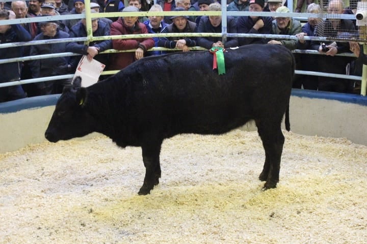 The 'Duhallow Butcher Heifer' winner weighed 535kg and sold for €2,200.