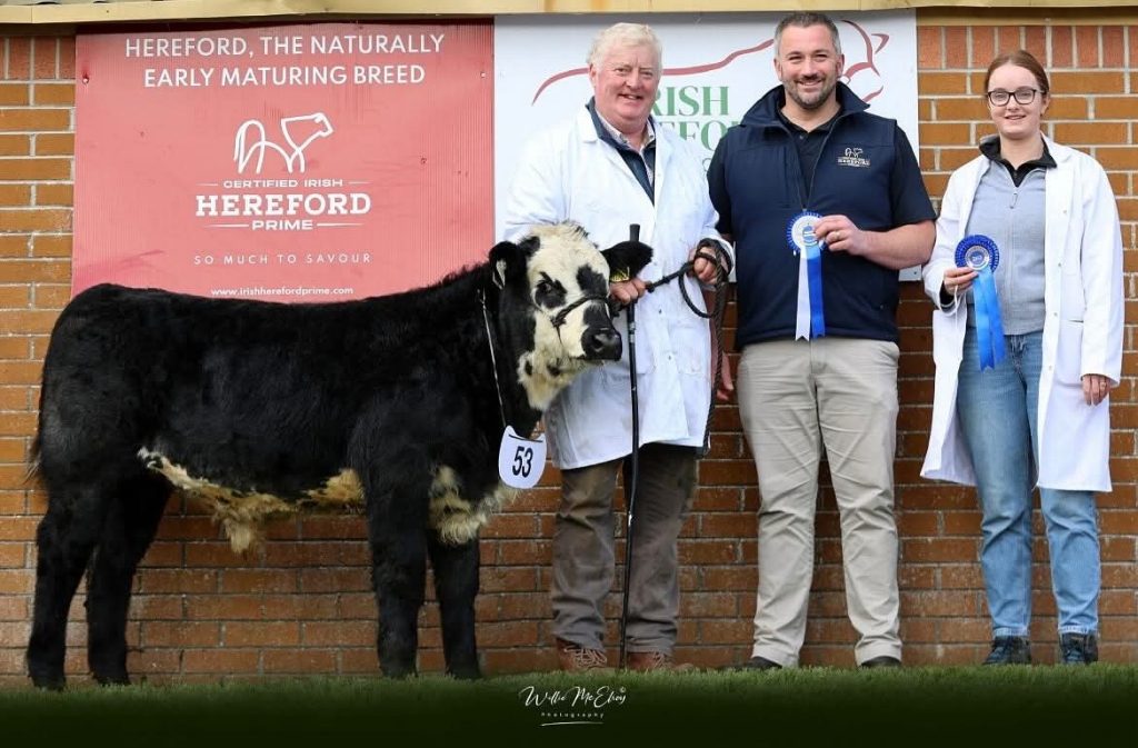 Reserve commercial champion