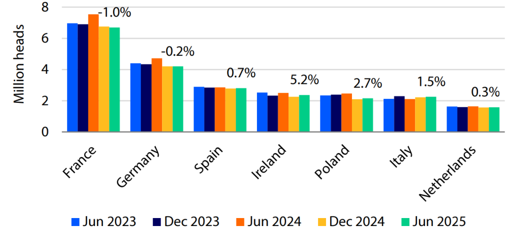 Cow herd development shows a mixed picture in H1, 2025. Source: European Commission, RaboResearch 2025