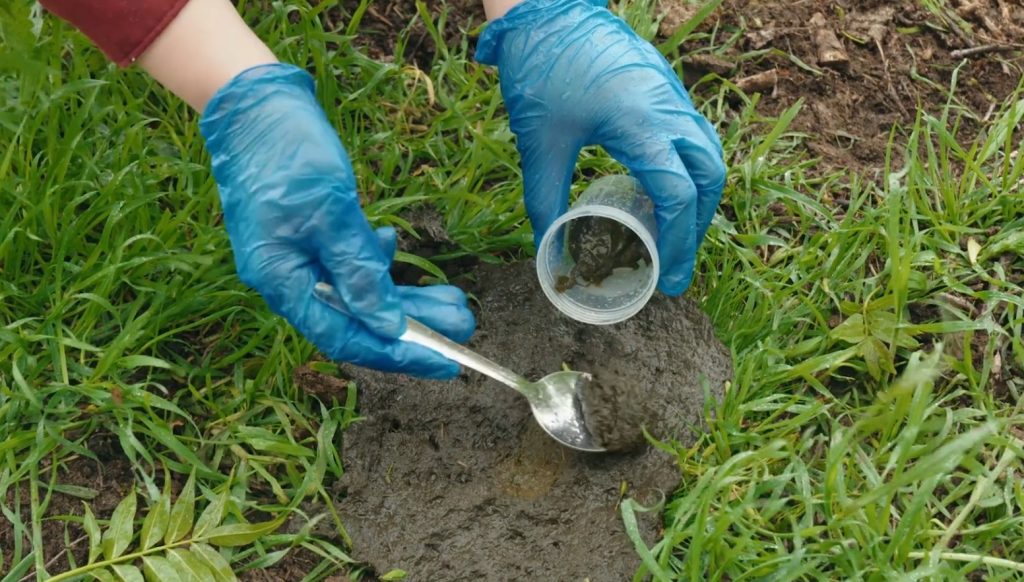 Faecal egg count collection. Source: Boehringer Ingelheim