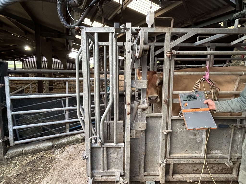 Having suitable handling and weighing equipment is useful. Boehringer Ingelheim