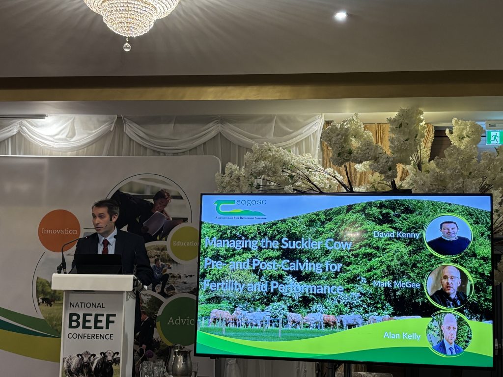 Teagasc's David Kenny