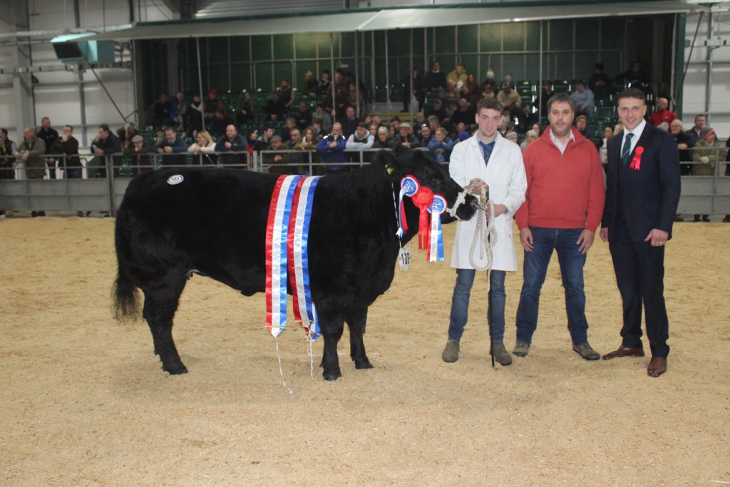 The 2025 RUAS Native Breed Beef Champion