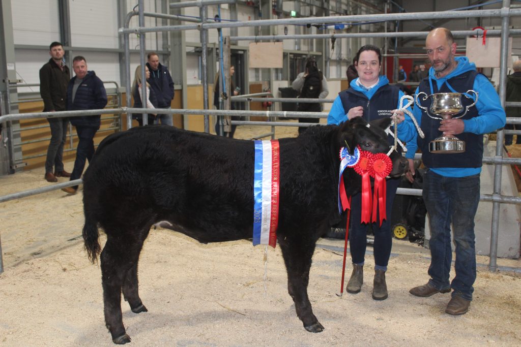 Knockagh Star: the 2025 RUAS Supreme Calf Champion