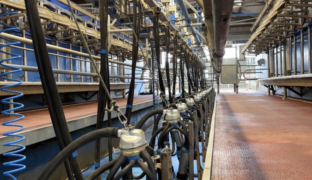 Behan's 20-unit Dairymaster parlour