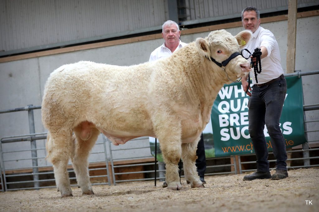 Carrickoneilleen Vinzo