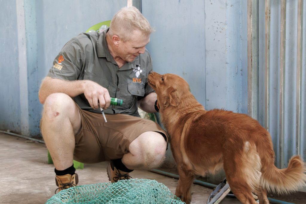 Luke Gamble, CEO and founder of WVS, vaccinating in Cambodia