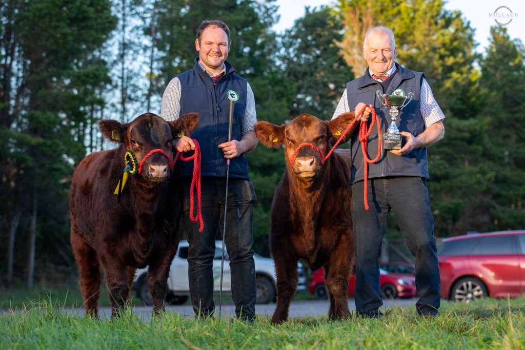 John and Tom Blackburn exhibited the champion pair of calves, Killaney Red Blackey B353 and Killaney Red Dan B36. Source: Mullagh Photography