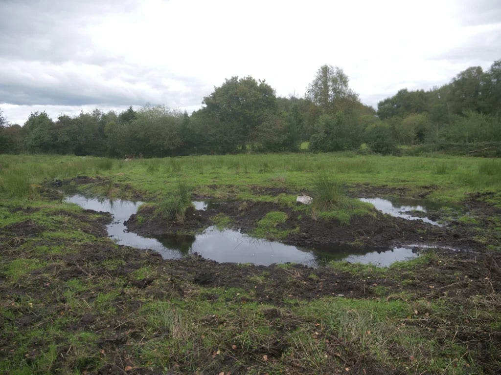Recent work done from CELT's wetland restoration project. Source: CELT website