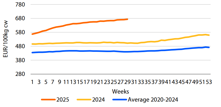 EU average beef carcass price up 34% YoY. Source: European Commission, RaboResearch 2025