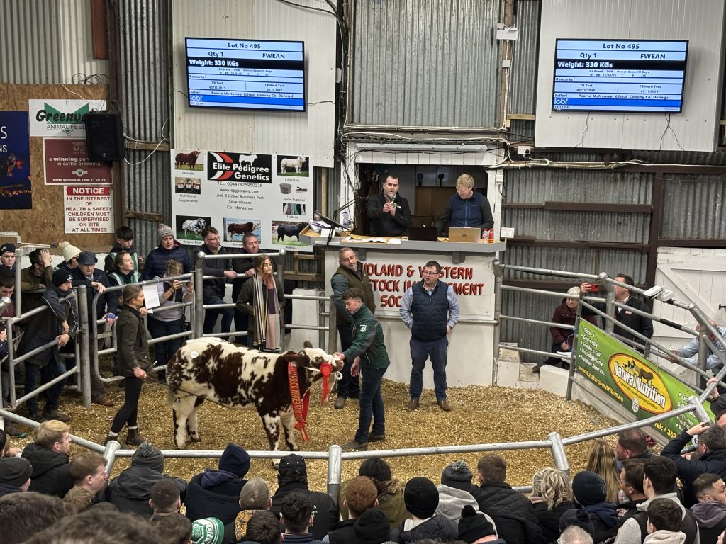 Lot 495 sold at €15,000 for Pearse McNamee, Co. Donegal