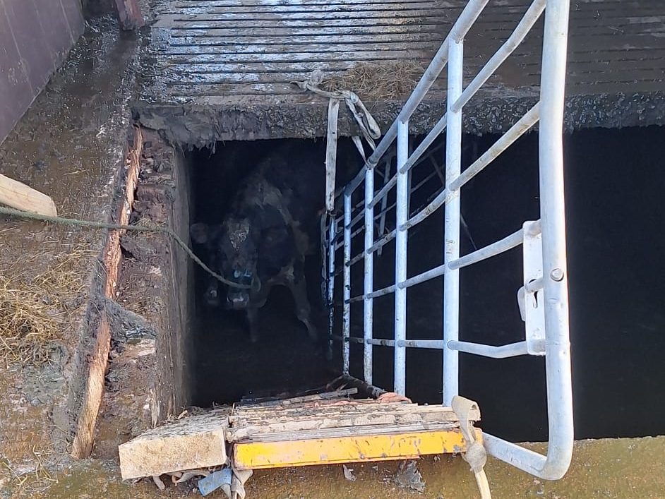 Source: Julie Malarkey