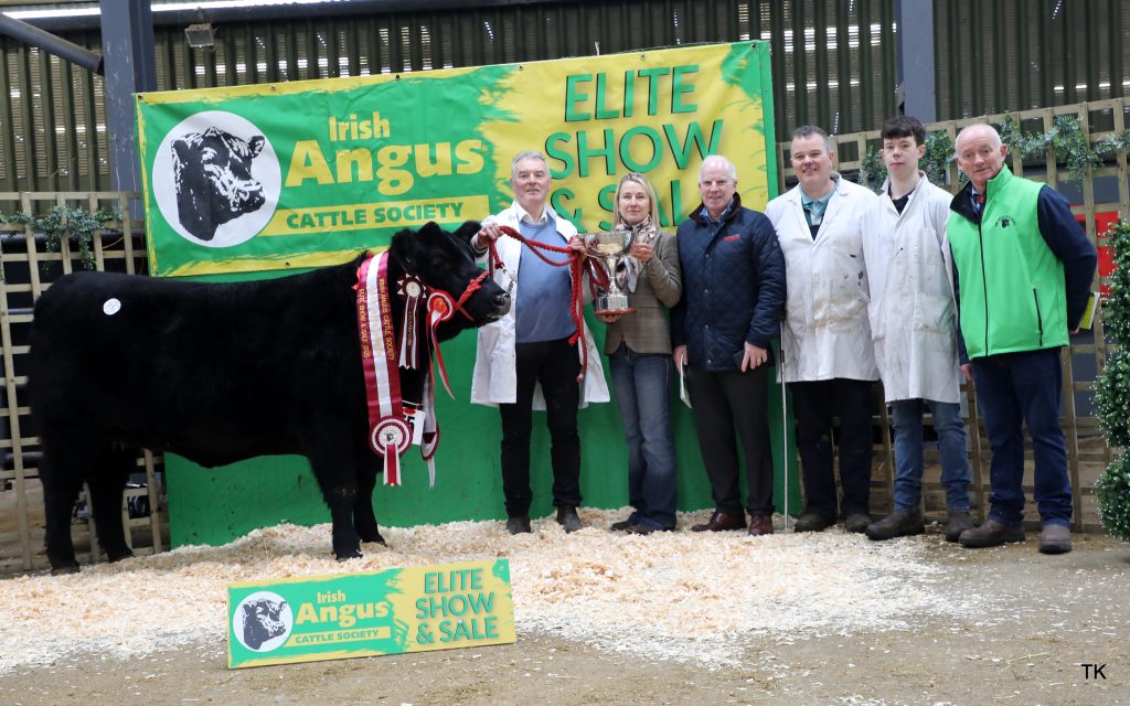 Senior Female Champion Loughlynn Wild Rose with Daniel Wintereder, Anthony Flaherty, Gerard and Patrick Regan, and Gerard Kilgallon
