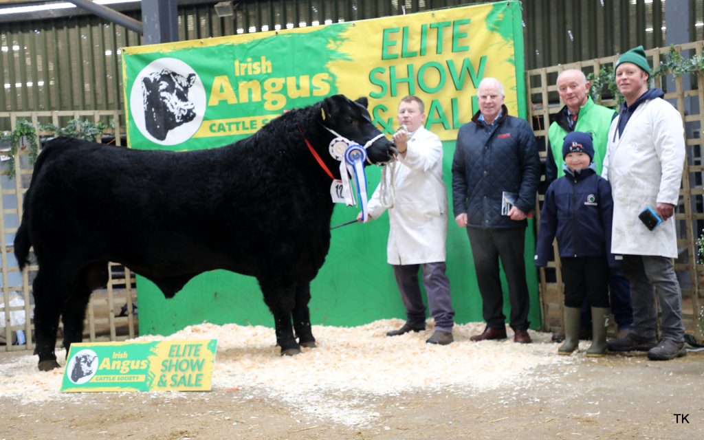 Molloy Alainn with Niall Faughnan, Anthony Flaherty, Gerard Kilgallon, Eoghan McLoughlin, and Brian Faughnan