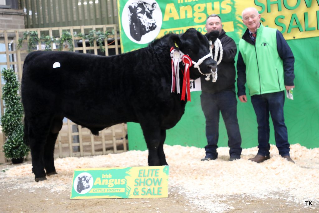 Reserve junior male champion, Charraigach Avicii with Ollie Kerins &amp; Gerard Kilgallon