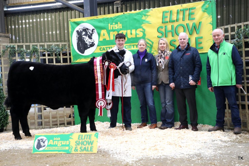 Junior female champion, Millbawn Autumn with Conor Craig, Amanda Bogan, Daniela Wintereder, Anthony Flaherty, and Gerard Kilgallon