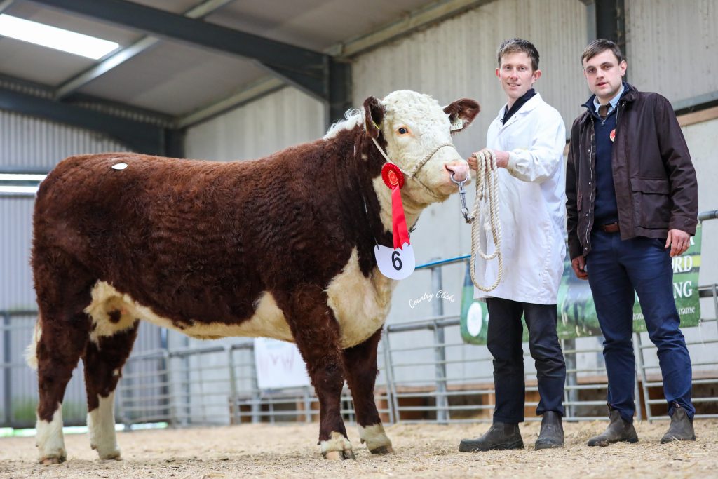 Athgreine Sally 297 (HYF) pictured with breeder JP Scott and Judge, Mr. Jack Wilson