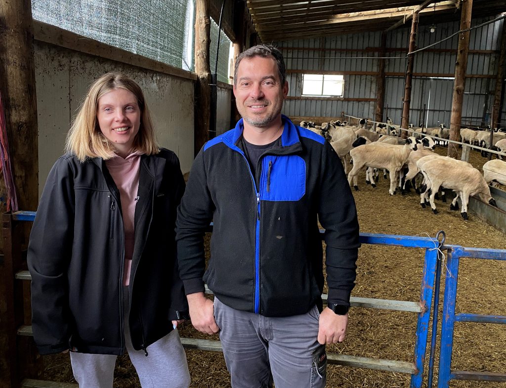 Catherina and Michalis have increased all biosecurity measures on Avdanas farm to protect their sheep flock
