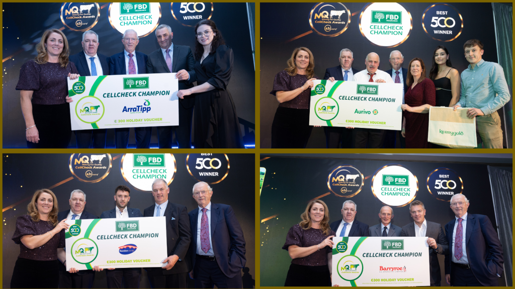 Top left – Arrabawn Tipperary Co-op Champions - Joe and Mary Hayes; Top right – Aurivo Champions - James Garrivan; Bottom left – Bandon Champions - Michael Pat and Ciarán Crowley; Bottom Right – Barryroe Champions - Máire Keohane (Jerry Keohane accepting the award)