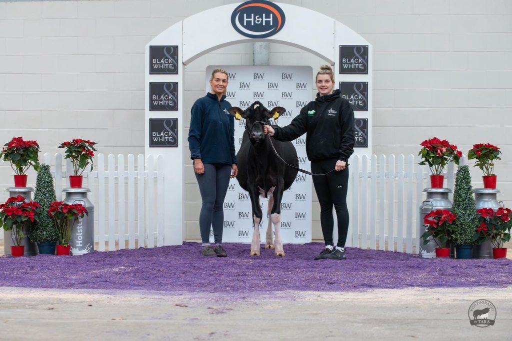 Evening Sidekick Jenny from The Block sold for 7,800gns