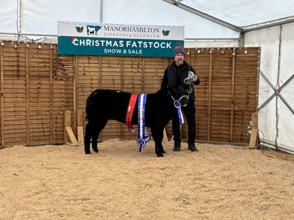 The reserve champion exhibited by Chris Meehan sold for €10,600