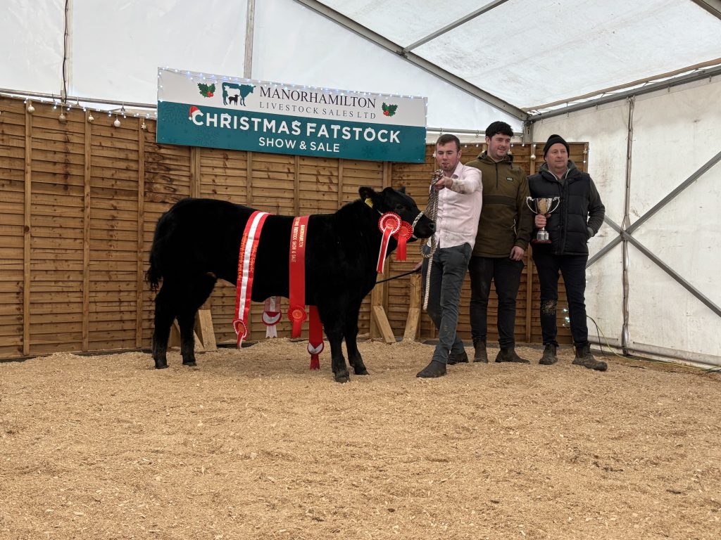 The pre-sale show champion was Lot 229, a Limousin-cross heifer owned by Co. Sligo man Daniel O'Connor