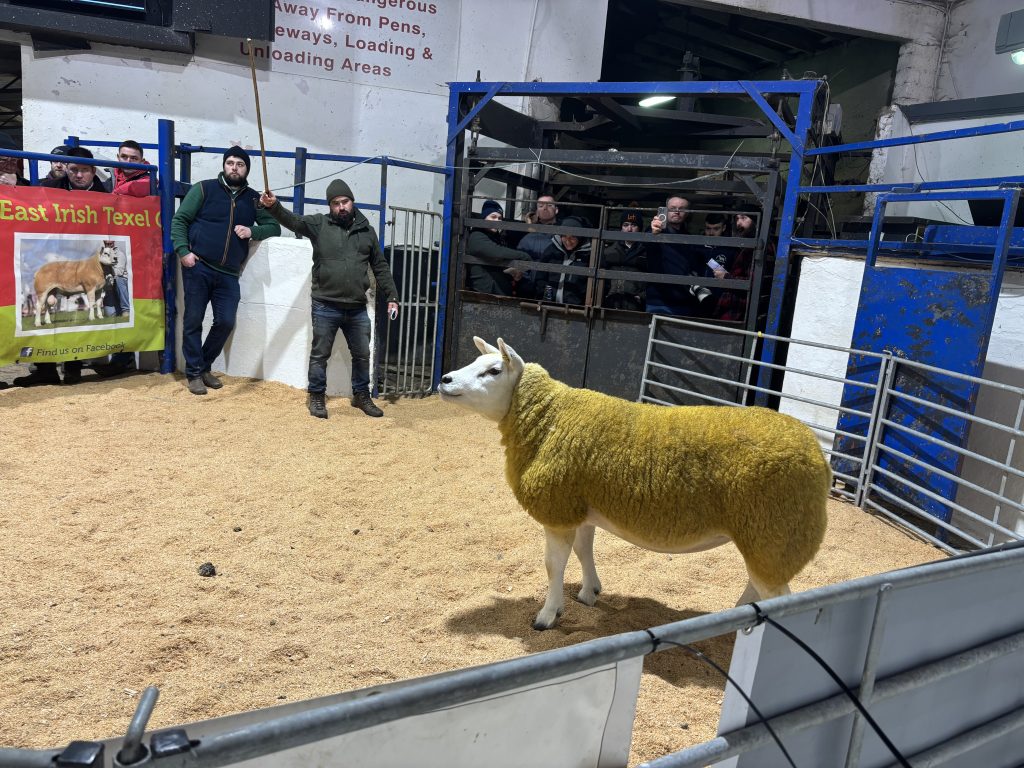 Lot 32 sold for €4,600