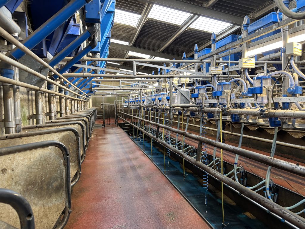 Johnstown Dairymaster parlour.