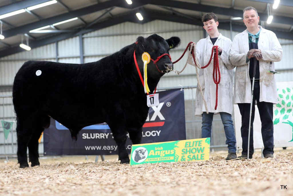 Driney Ace of Spades