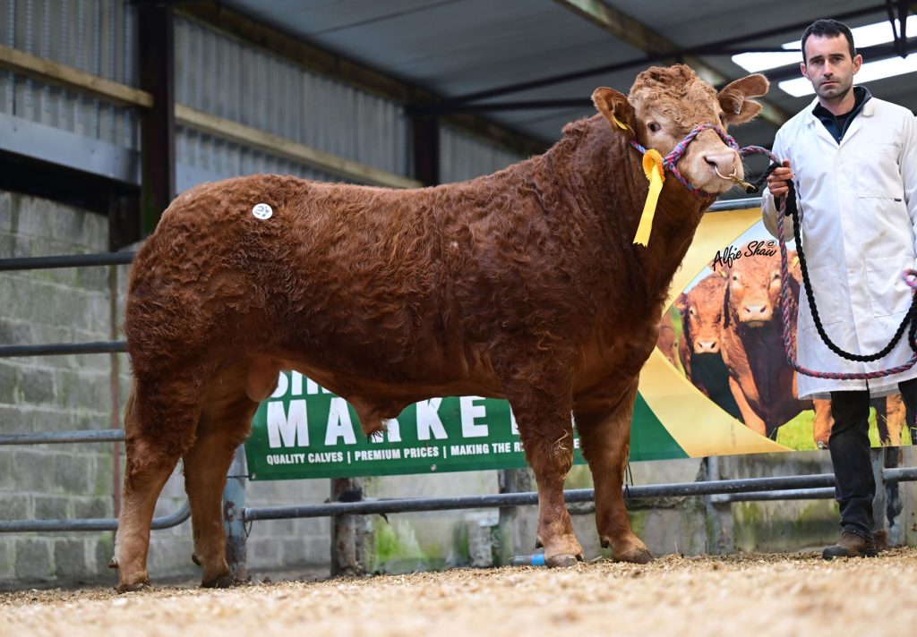Corroy Vinny sold for €8,000
