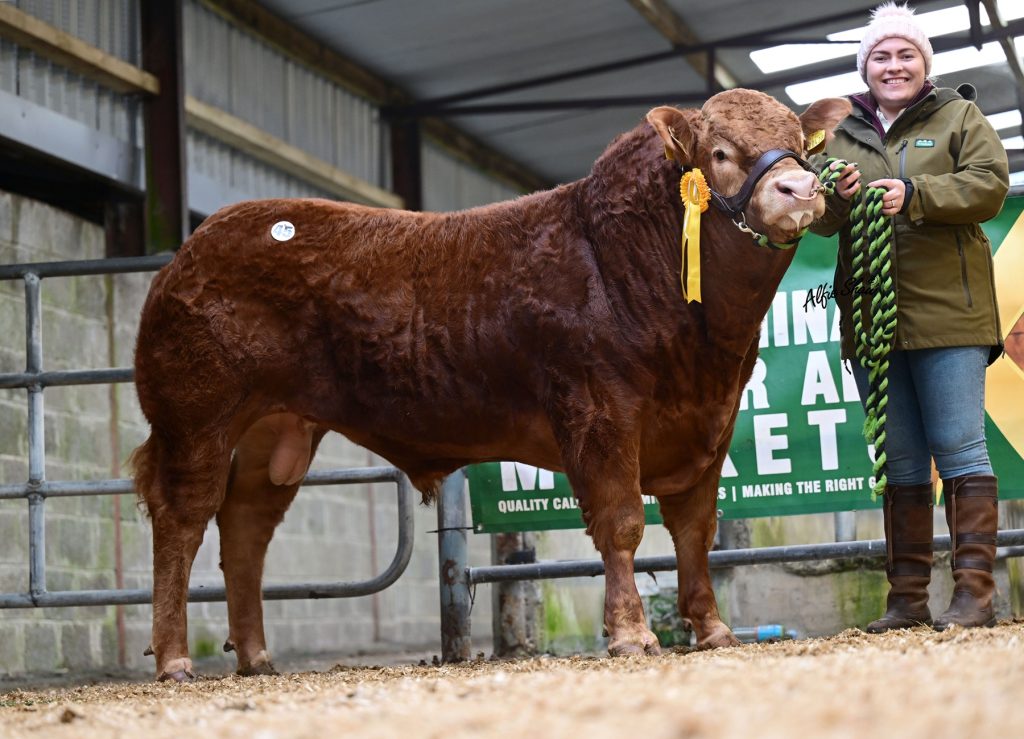 Meelickaduff Valencia sold for€9,200
