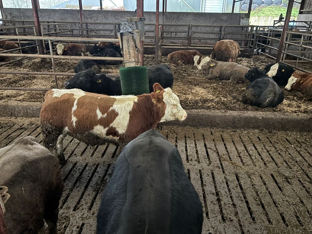 The brushes have been installed since 2023