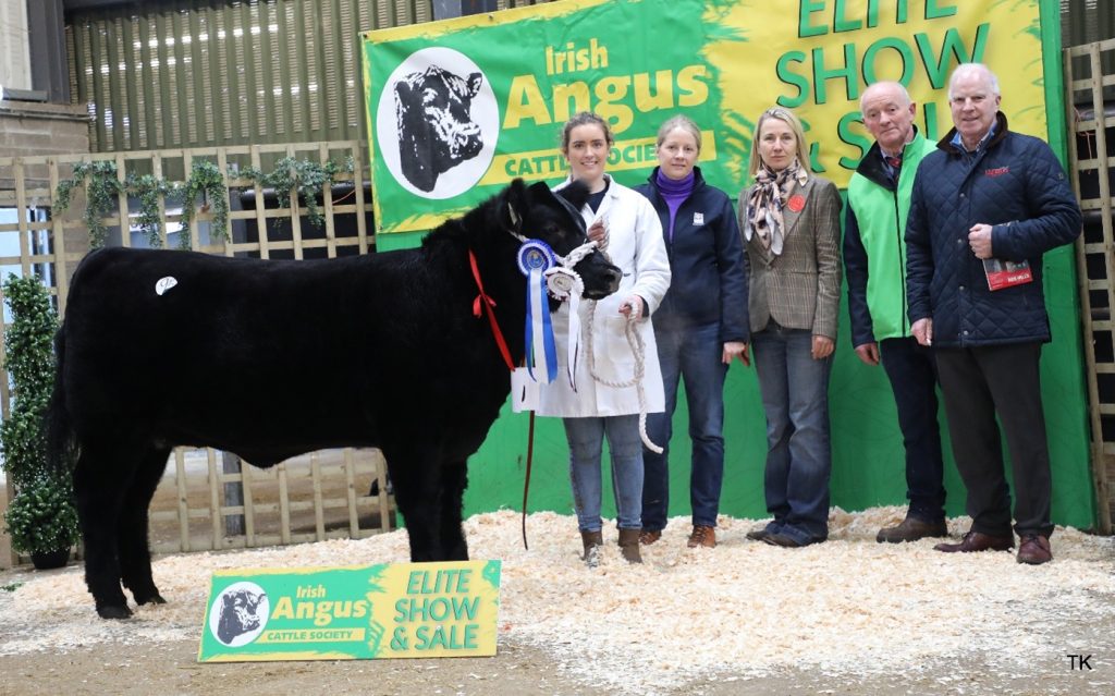Reserve junior female champion, Millbawn Athena with Cailin Keavney, Amanda Bogan, Daniela Wintereder, Gerard Kilgallon, and Anthony Flaherty
