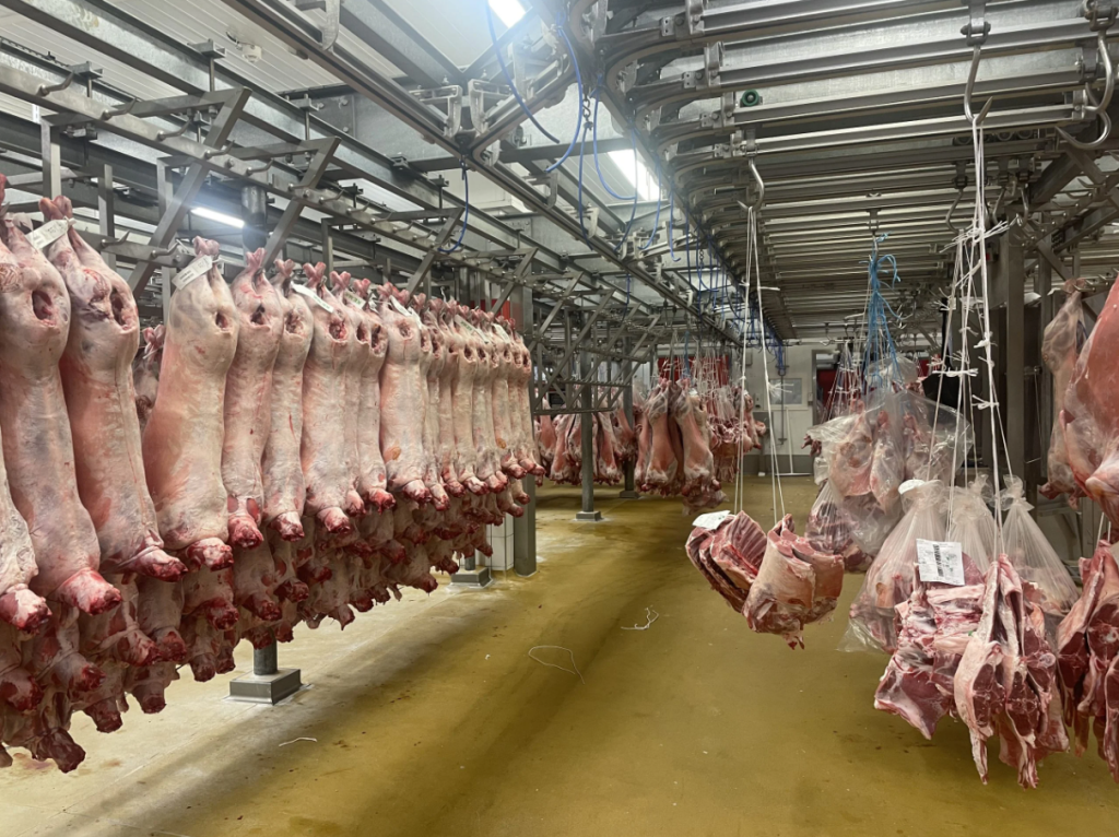 Lambs slaughtered at the Kepak Athleague site in Co. Roscommon that were sold at Rungis Market on the day of the visit