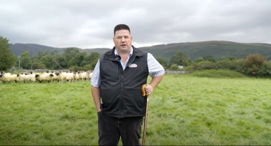 John Wehrly, Cooley Sheep Breeders