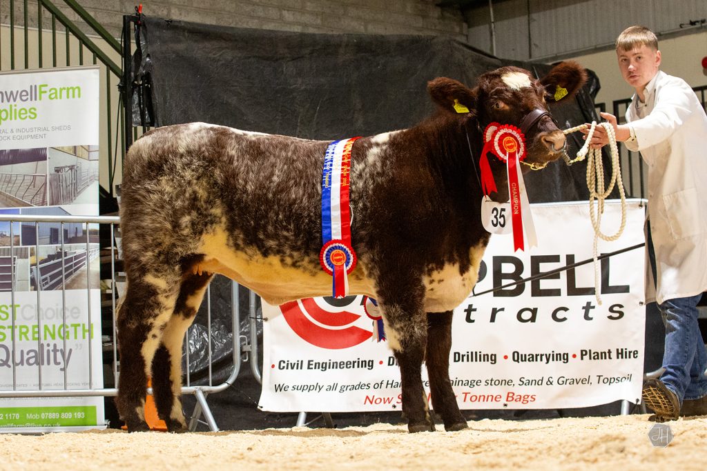 Jenson Lindsay with his Overall Native Junior Champion.