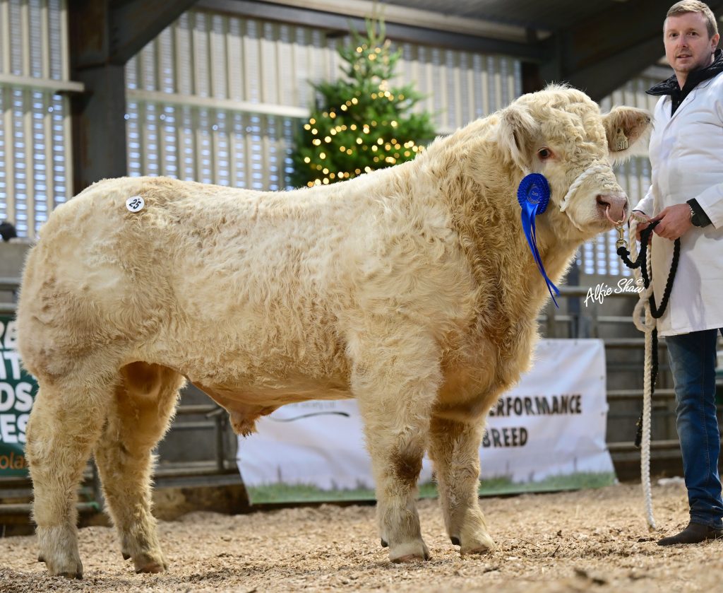 Tobergal Verdun (et)