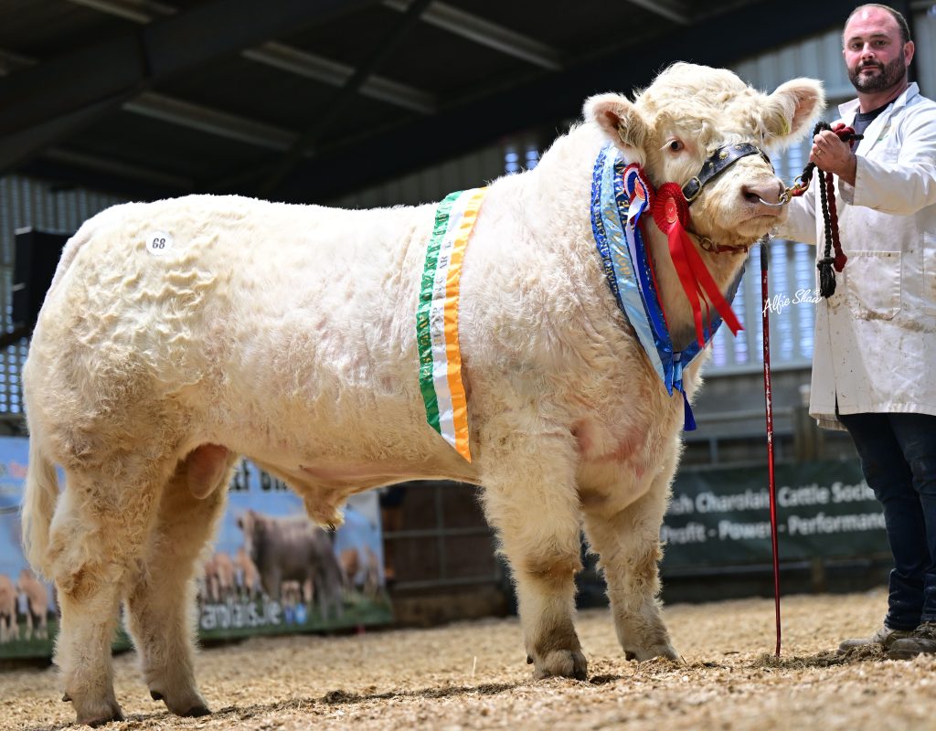 Larahill Valentino (et)